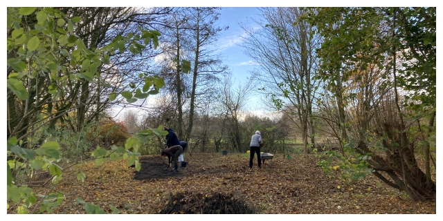 Blick in den Biogarten